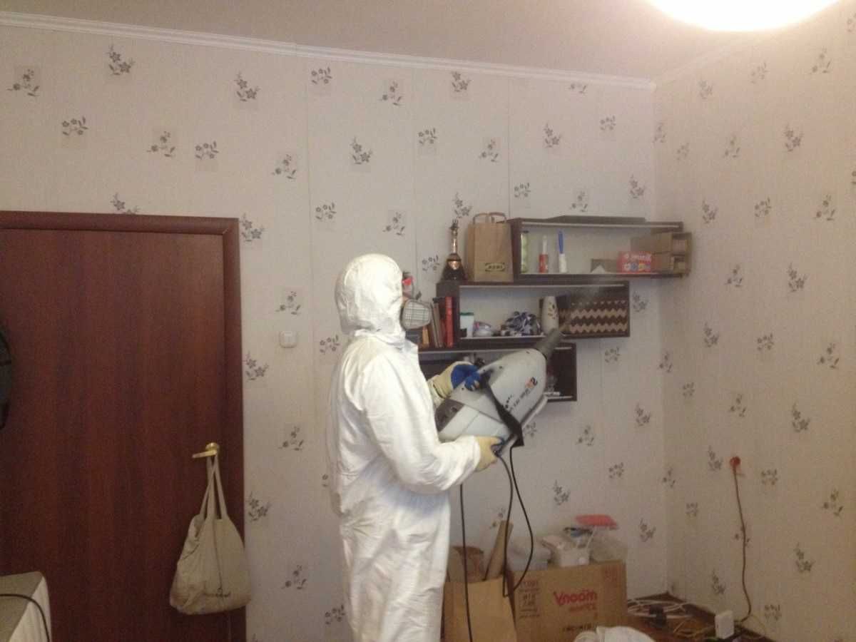 Дезинфекция клапа клопов таракан крыс Dezinfeksiya dezenfeksiya R2
