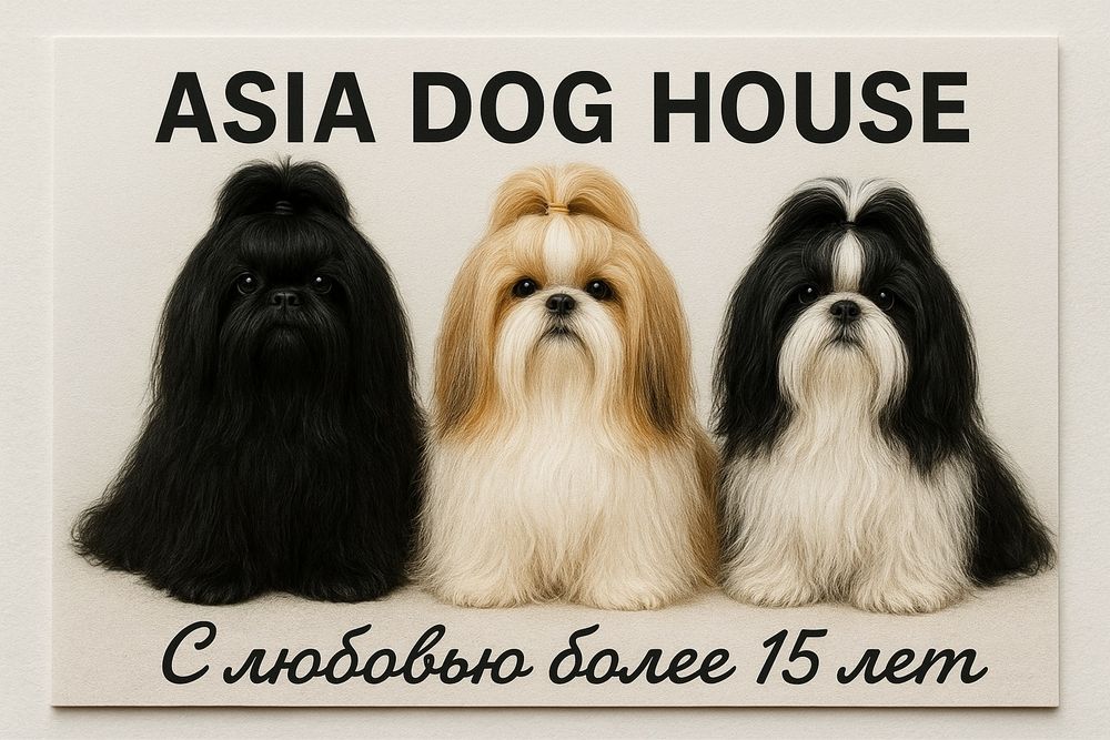 С любовью от заводчика ми ми милашки