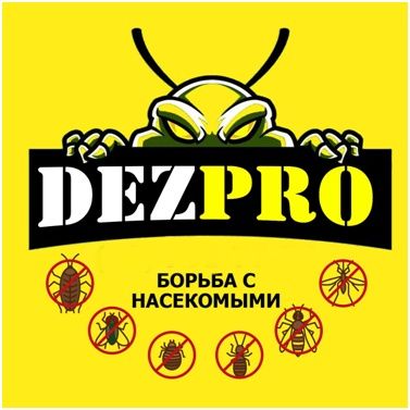 dezinfeksiya klapa tarakan chumoli burga