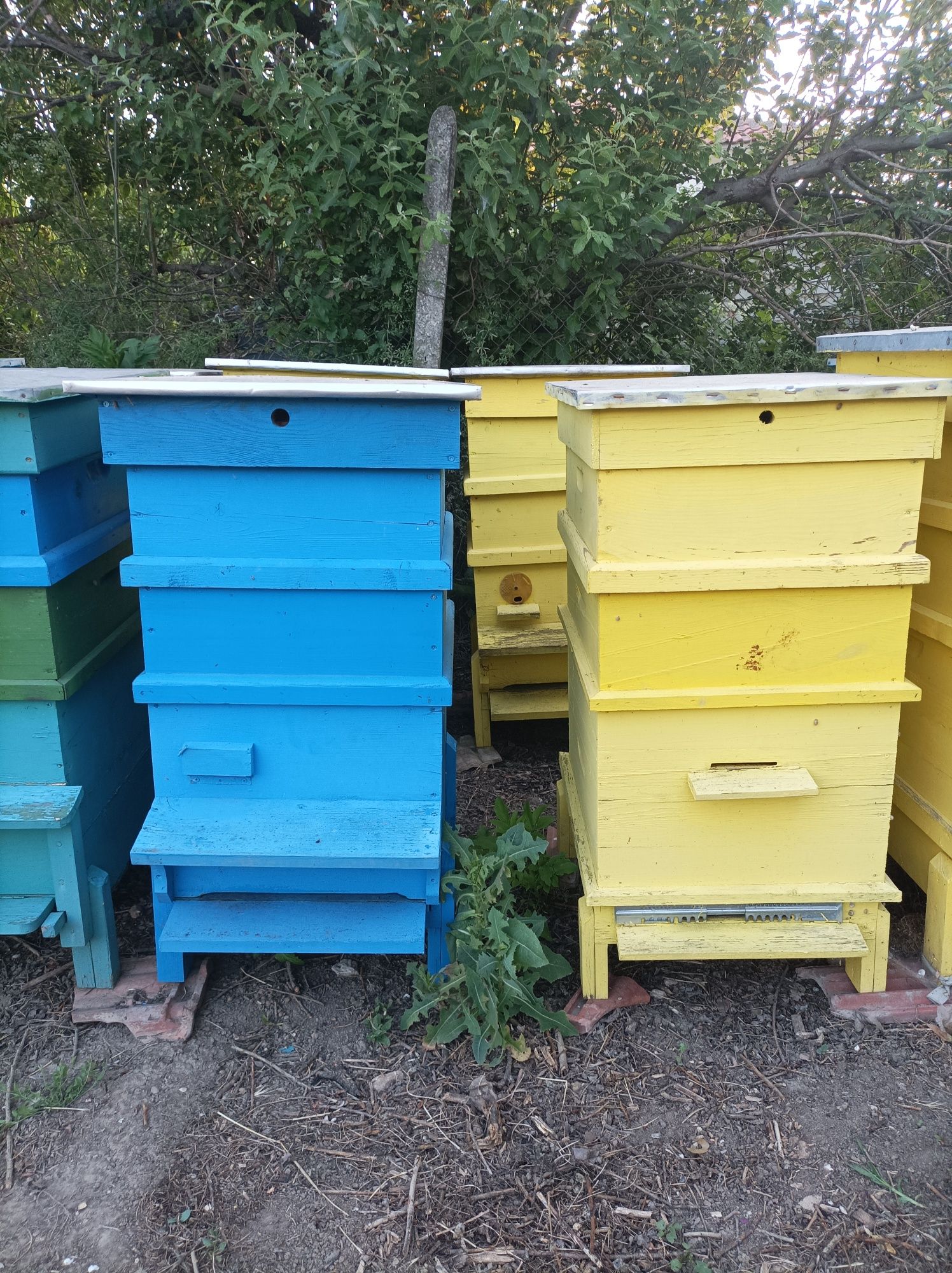 Продавам пчелни кошери