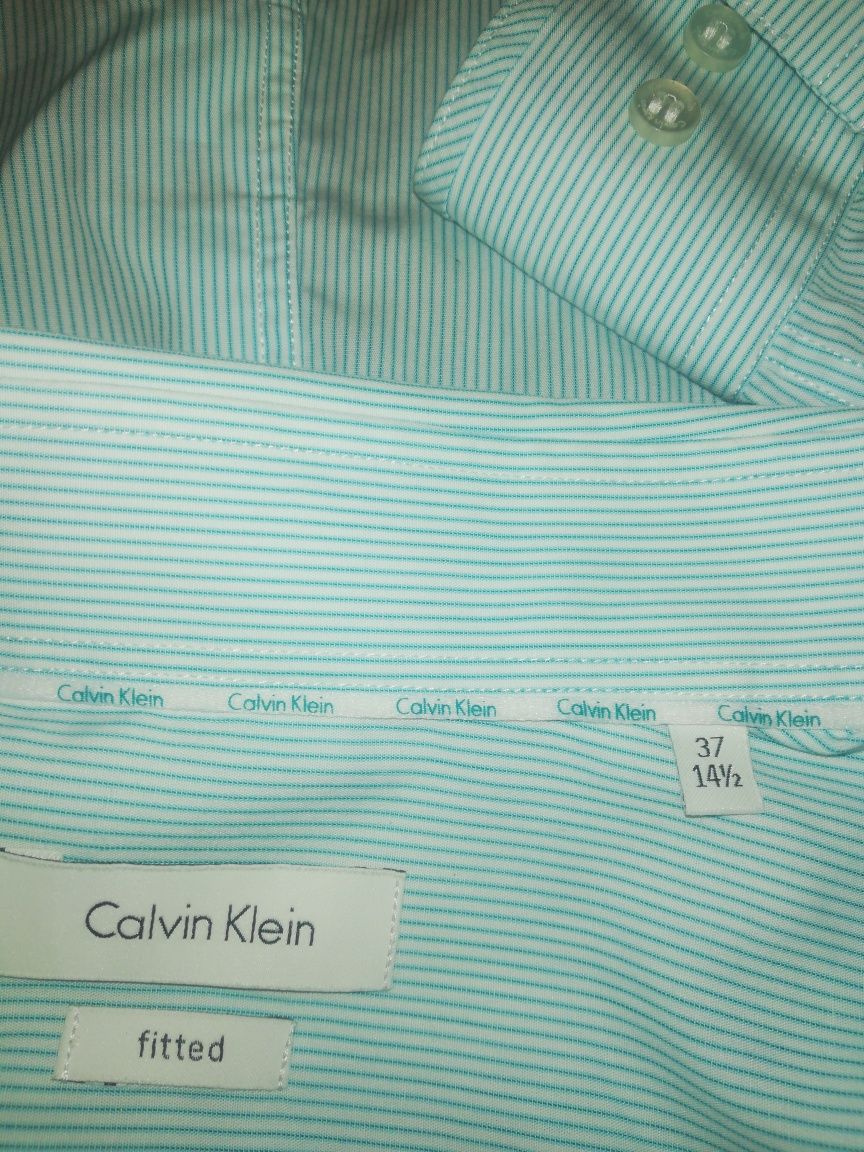 Calvin Klein/Ralph Lauren/Hilfiger/Topman/Pierre Cardin