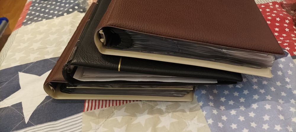 Clasoare pentru monede Pardo, cu folii