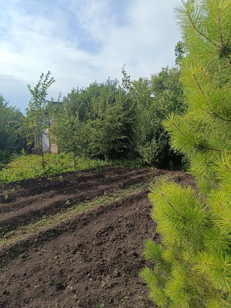 Продам дачу в обществе Ромашка