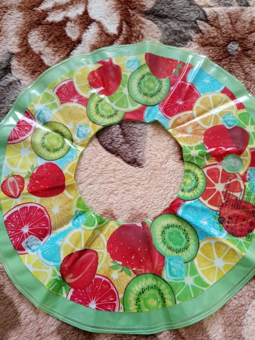 Плавательный круг