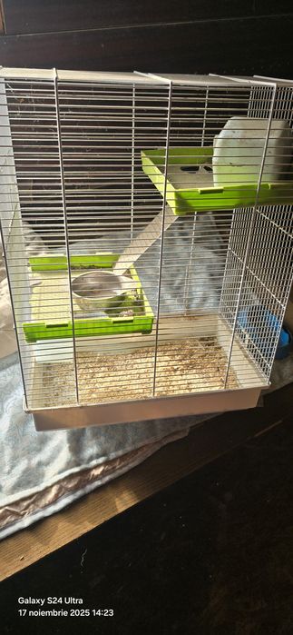 Cușcă hamster sau pasari