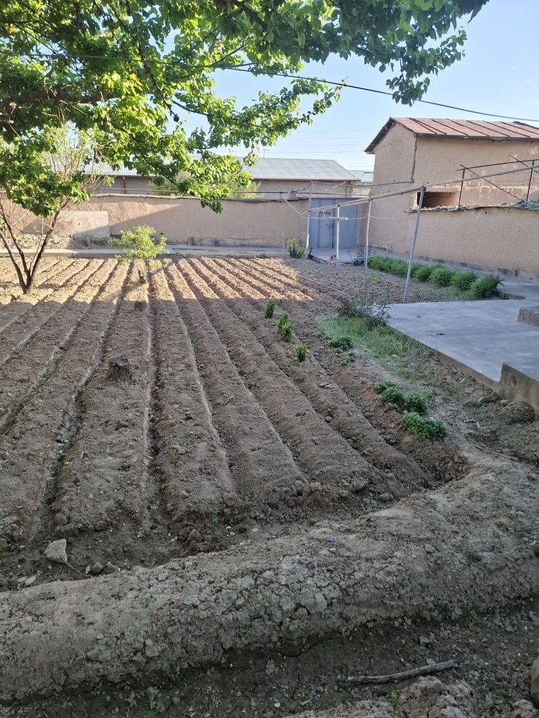 Qibray tumani Chinobof qfy da yer sotiladi