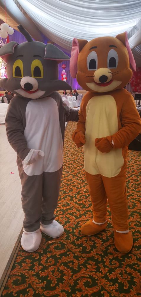 Mascote Tom si Jerry evenimente botez petreceri copii