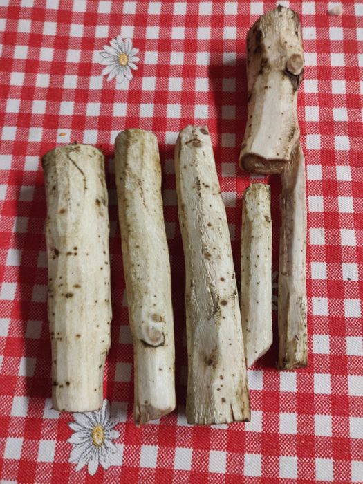 Rădăcina de brusture