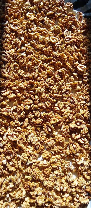 Орехи ядка , Био супер храна , Еко производство.