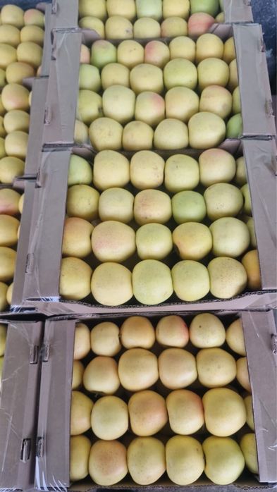 Яблоки оптом американка золотой