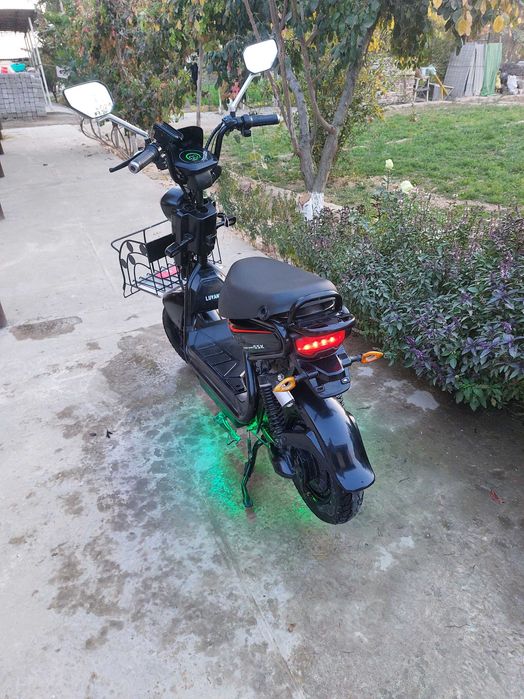 Skutir luyang holati yaxshi