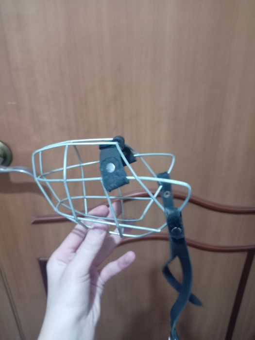 Амуниция для собак