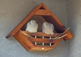 Къщичка за птички