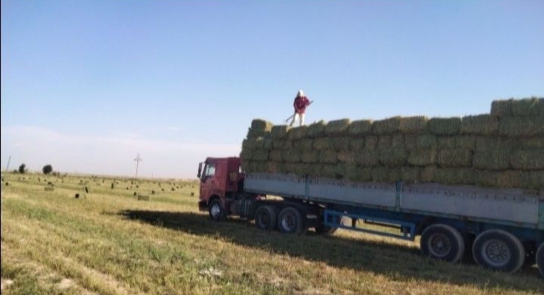 Жонышка прес бар доставка бар