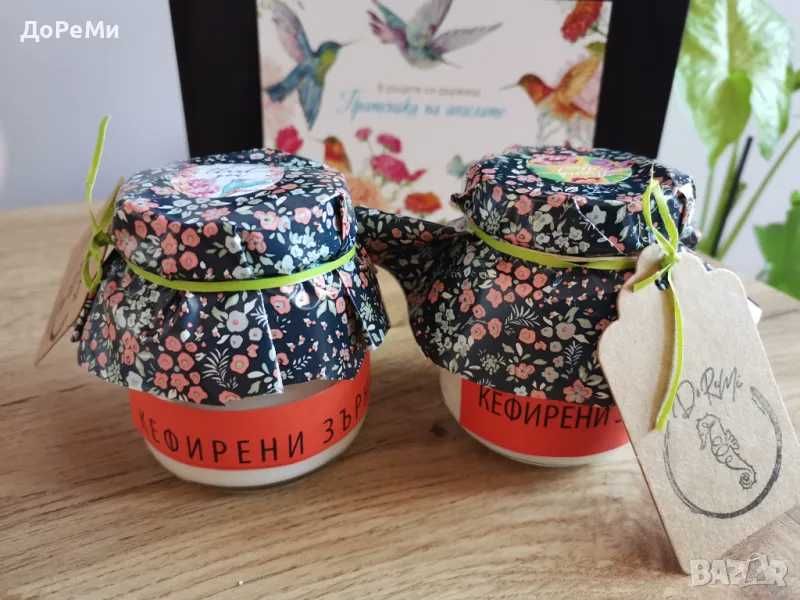 КЕФИР  тибетски кефирни зърна