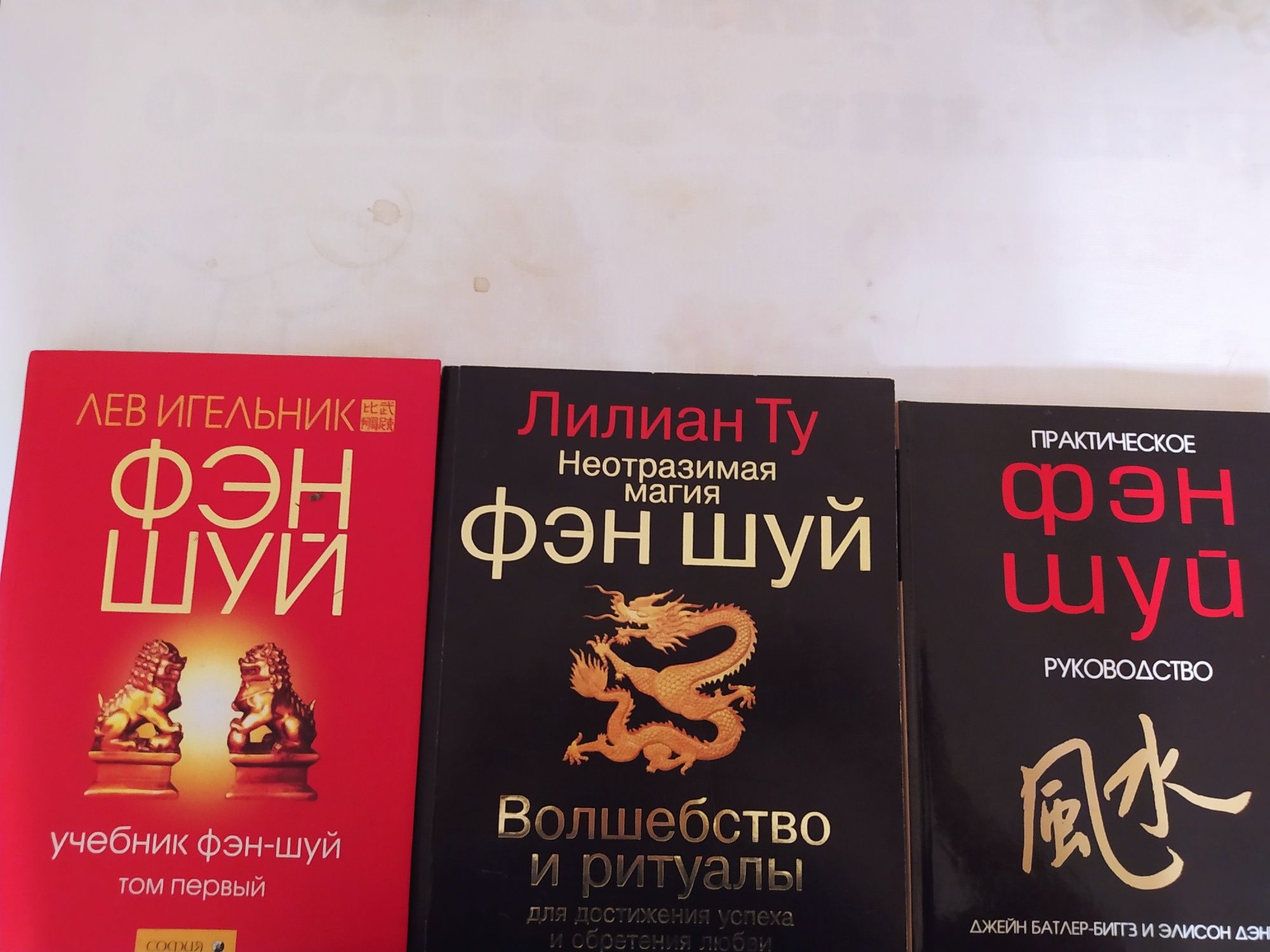 Книги по Фэн Шуй и по  программированию.