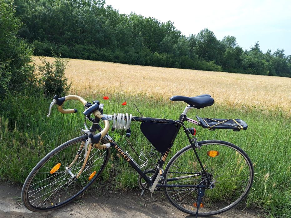 Vand Cursiera PEUGEOT
