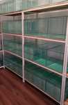 Rastel+9 acvarii 44*30*30 39 litri acvariu pesti