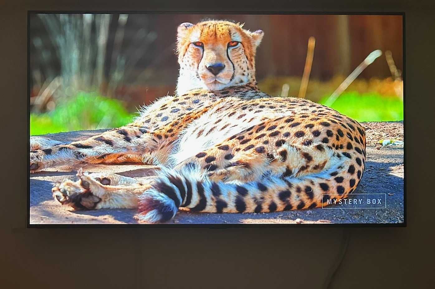 Телевизор LG OLED77C11LB, 77" (195 см), Smart, 4K Ultra HD, OLED