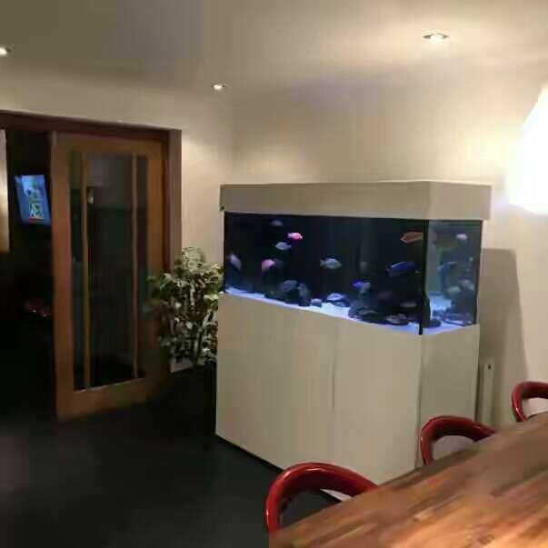 Zakazga akvarium yasaymiz