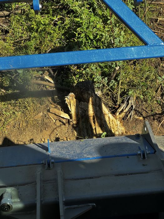 Defrisari si intretinere spati verzi