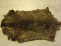 Blanite de nutrie
