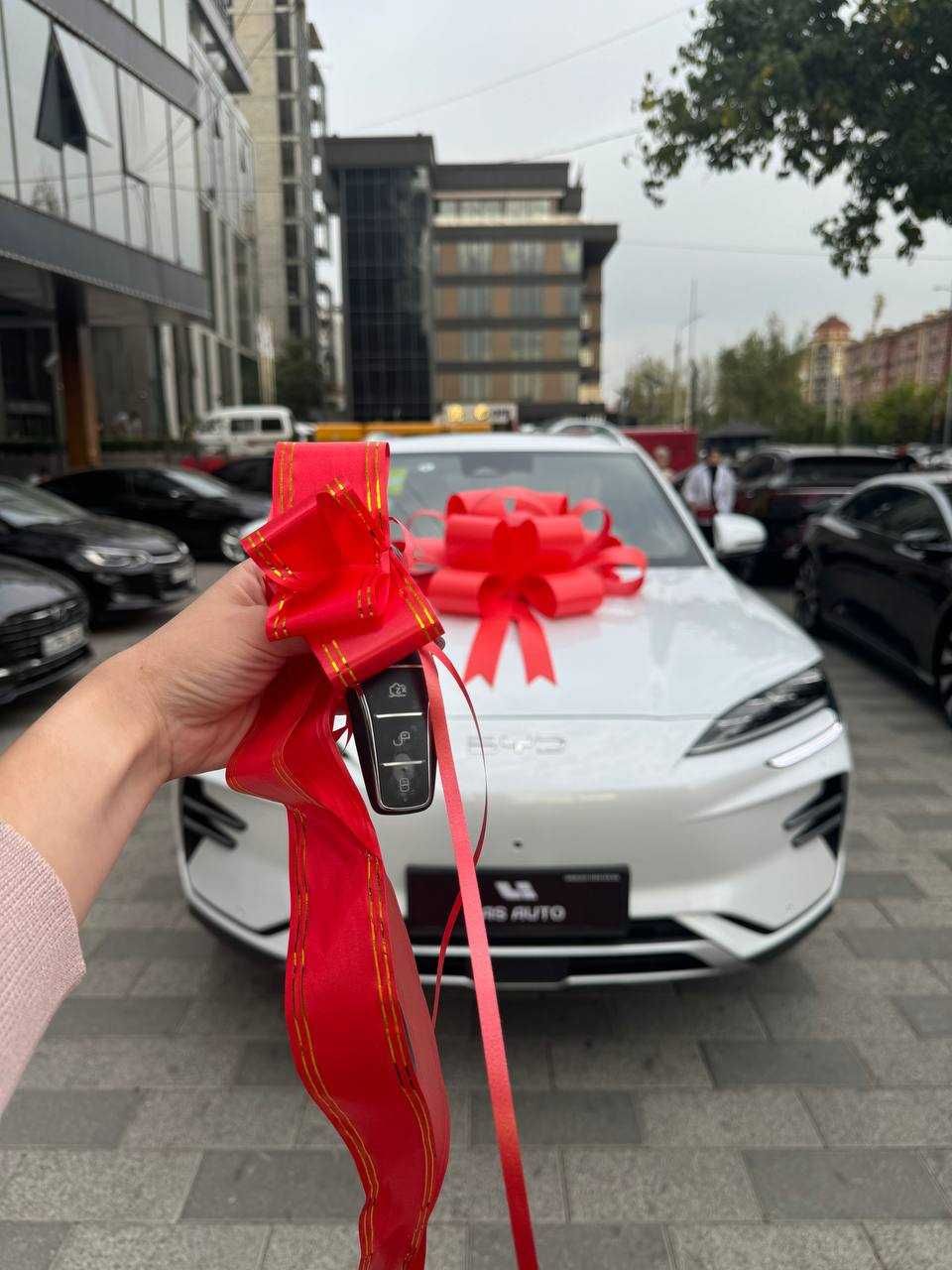 Украшение авто бантом — аренда по Ташкенту