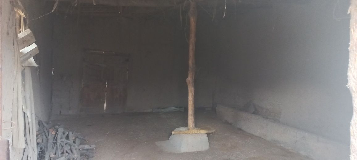Ховли сотилади 25×55 м²
