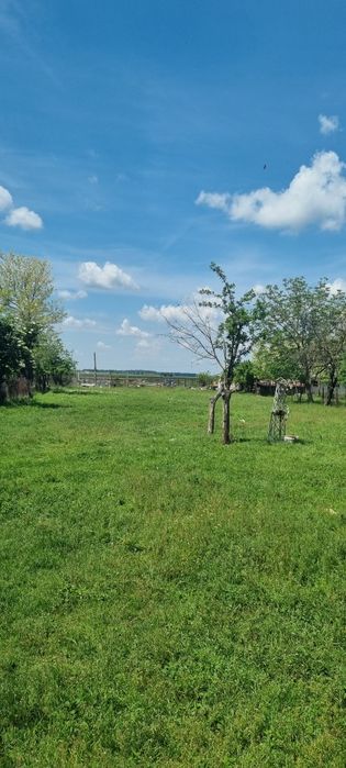 NOU !!! Vînd Teren com.  Ileana județul Călărași !! Discutabil!!