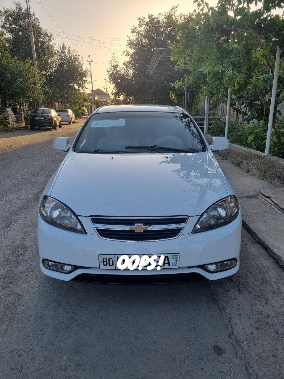 Laseti tezda sotladi