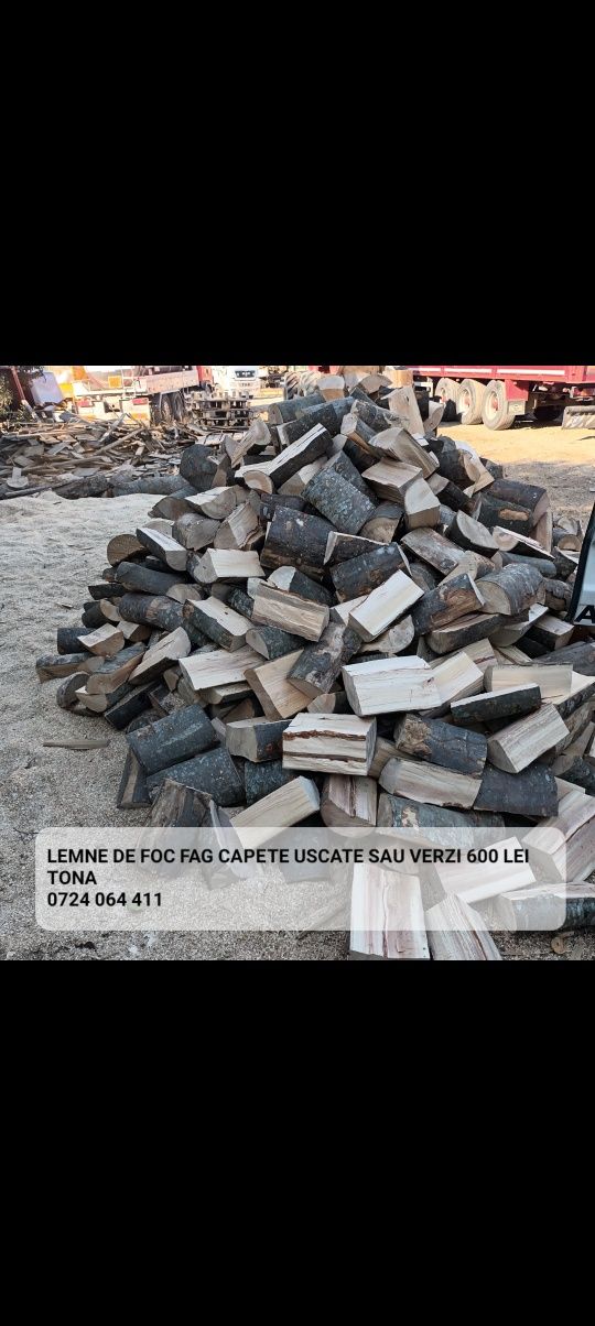 Lemn de foc esenta tare fag capete uscate sau verzi 600 lei tona