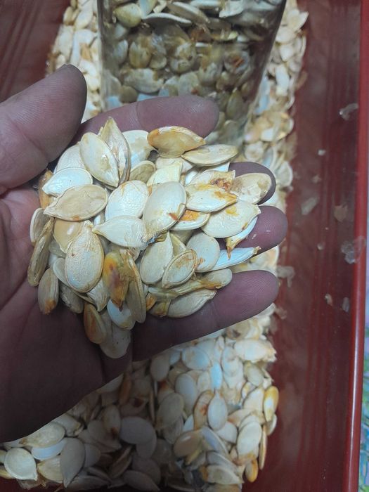 Тыквеные семечки домашние