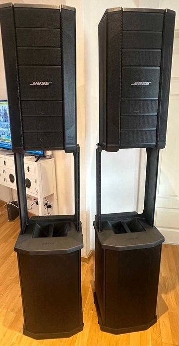 Boxe profesionale Bose F1