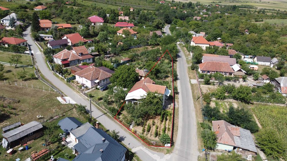 Casă spațioasă și primitoare în Viile Satu Mare – zona Dealu Mare