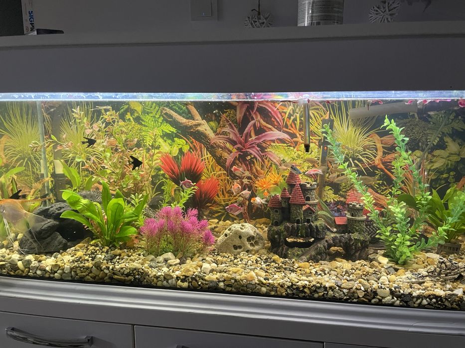 Acvariu cu capacitatea de 350L