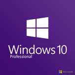 STICK + LICENTA - Windows 10 Home Edition sau Professional