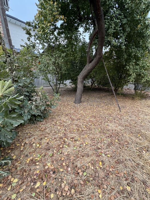 Дом 6 соток, Шайхантахурский район