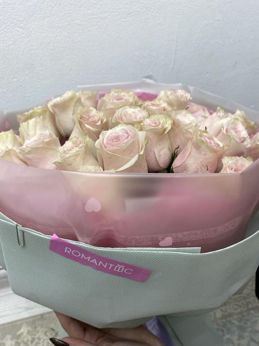 Цветок свежый роза