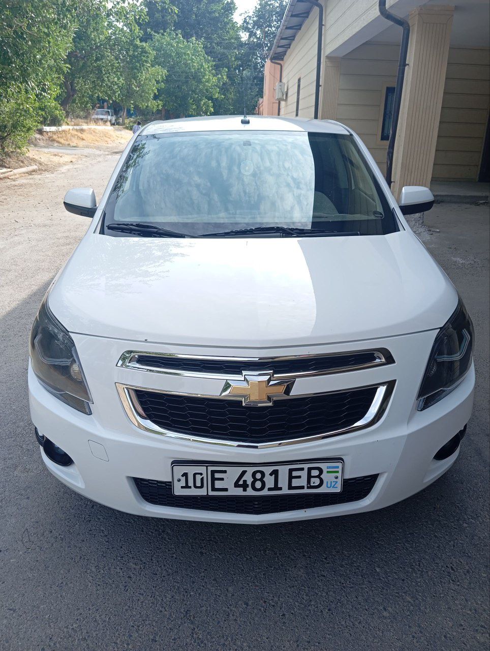Kobilt xolati zur