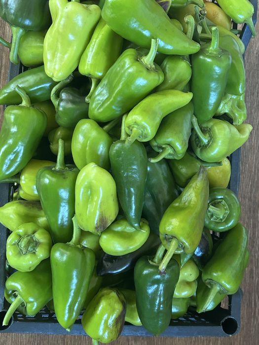 Продам домашний сладкий перец