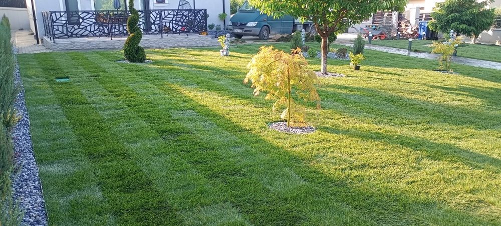 Amenajare si intretinere spatii verzi