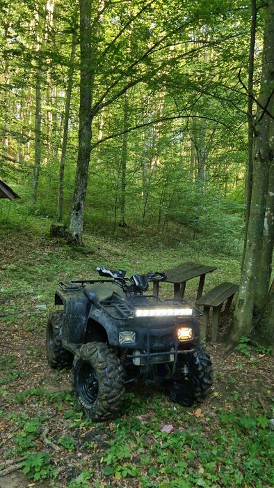 Atv 300cc 2x4 necesita doar o vopsire si e țipla