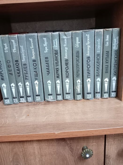 Книги из серии ЖЗЛ 13 книг