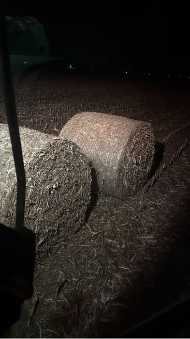 Baloti porumb 120x120