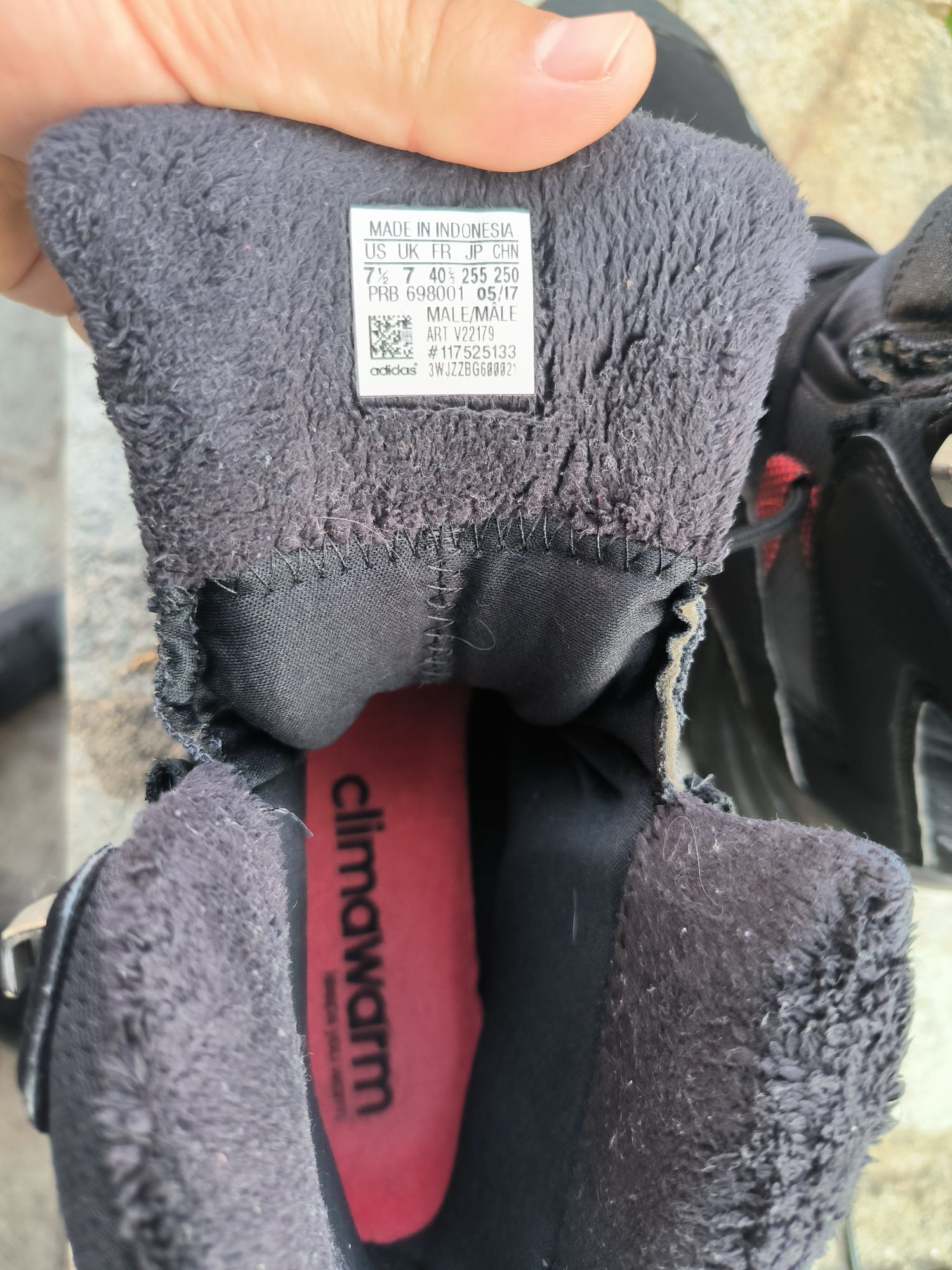 Adidas Winter Hiker Speed