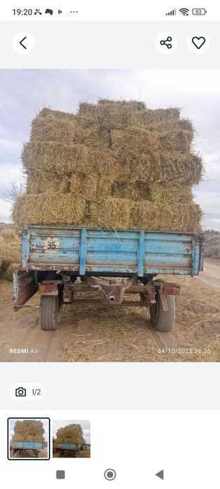 Kip sotlad narx 4.500