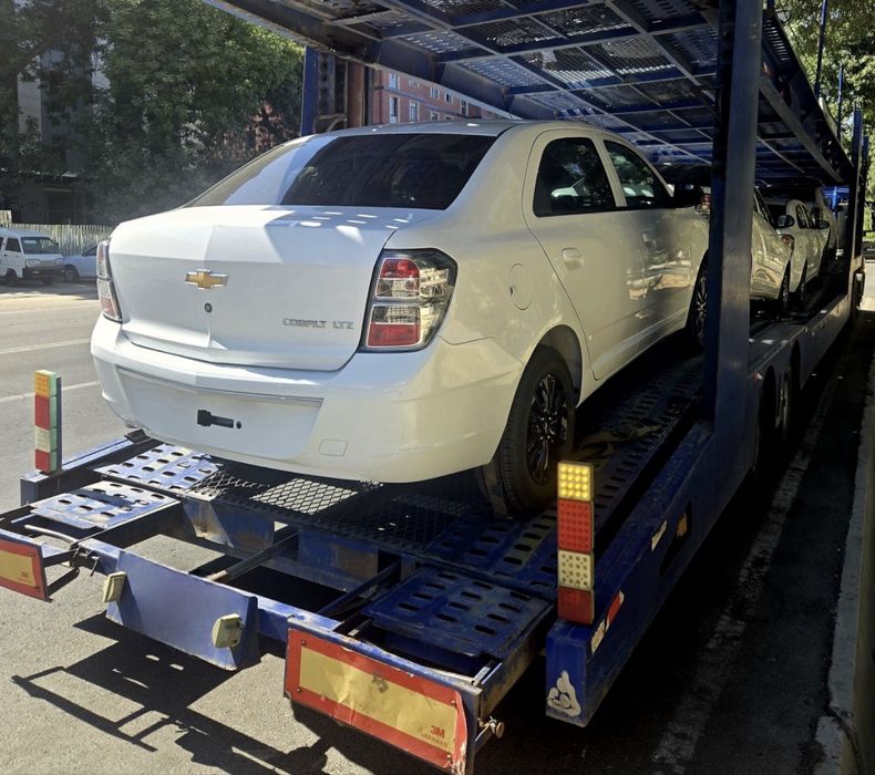 Cobalt midnight (MCM) 2026 notarius bonus