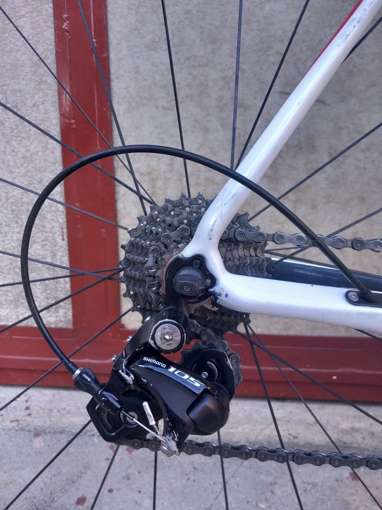 Bicicleta cursiera