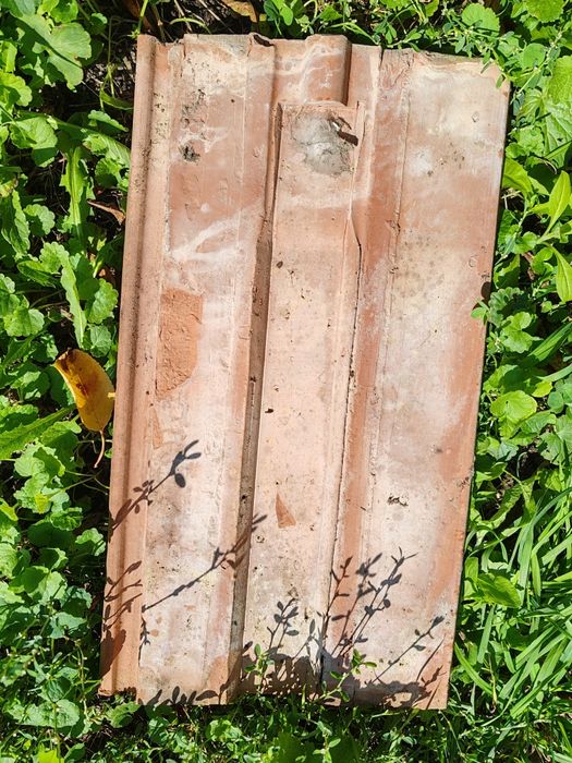 Tigla coame second 1 leu/buc