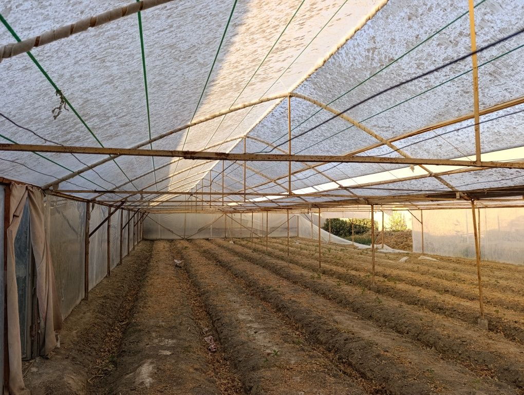 Parnik sotiladi Tez va arzon, narx kelishiladi